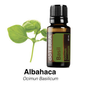 Albahaca