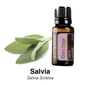 Salvia